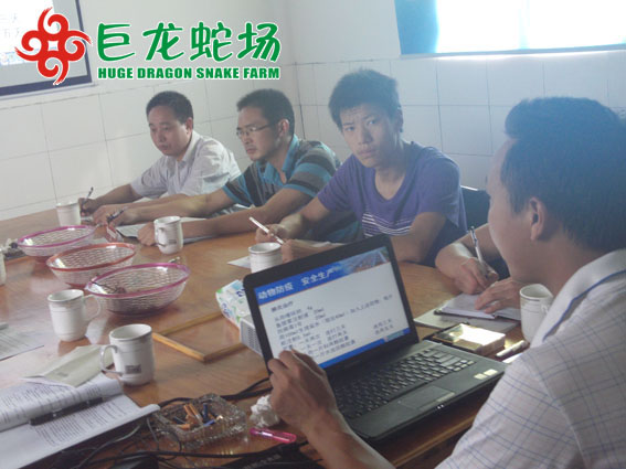 养蛇技术培训,养蛇技术学习