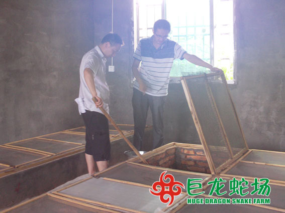 养蛇技术培训,养蛇技术学习